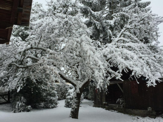  châlet savoyard typique et ensoleillé avec jardin